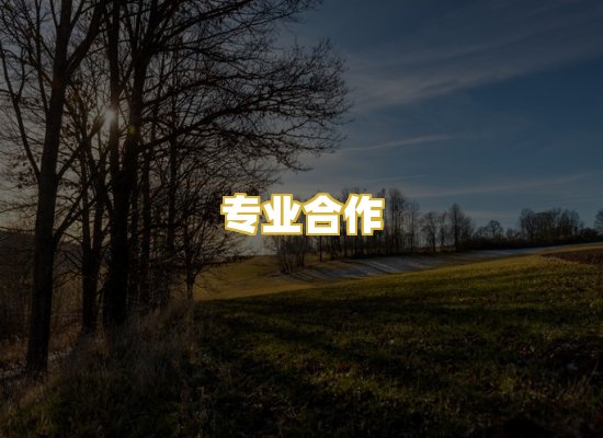 专业合作